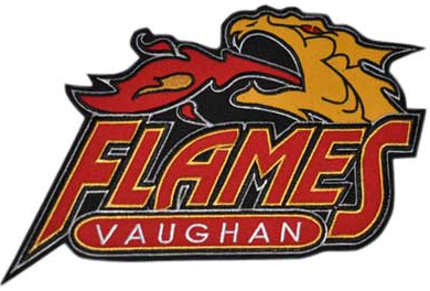 Vaughan Flames 2007-2010 Primary Logo iron on heat transfer